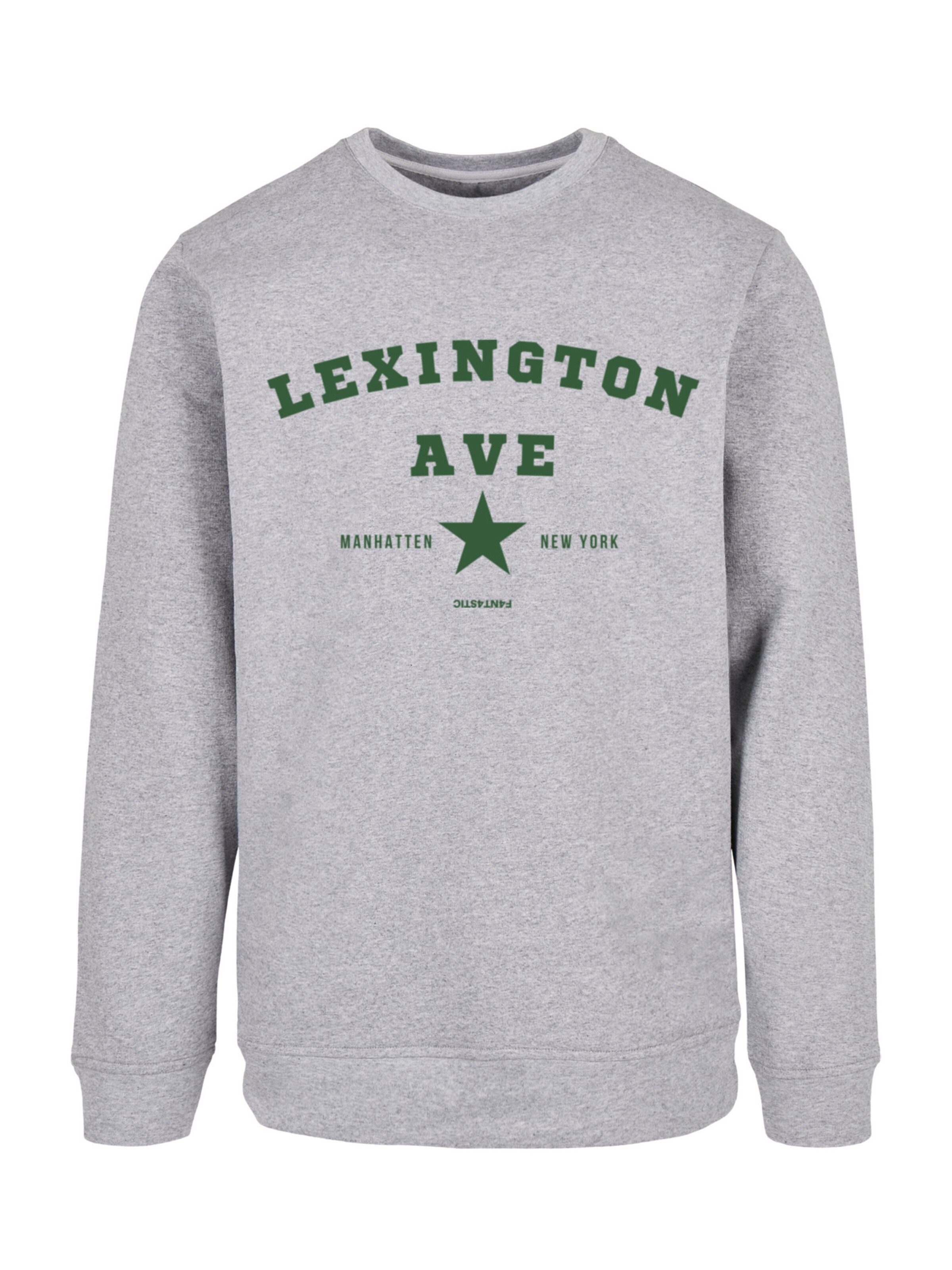 F4NT4STIC Sweatshirt 'Lexington Ave' in Grey: front