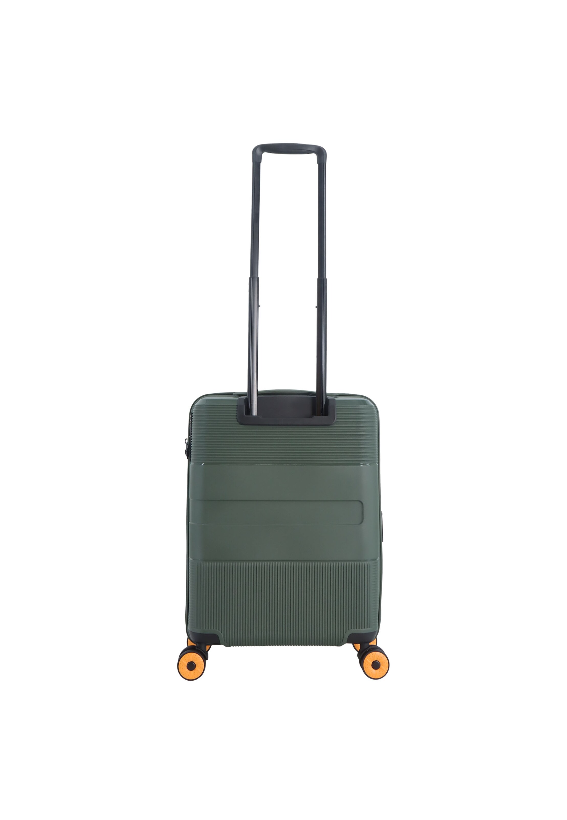Discovery Suitcase 'Trails' in Green