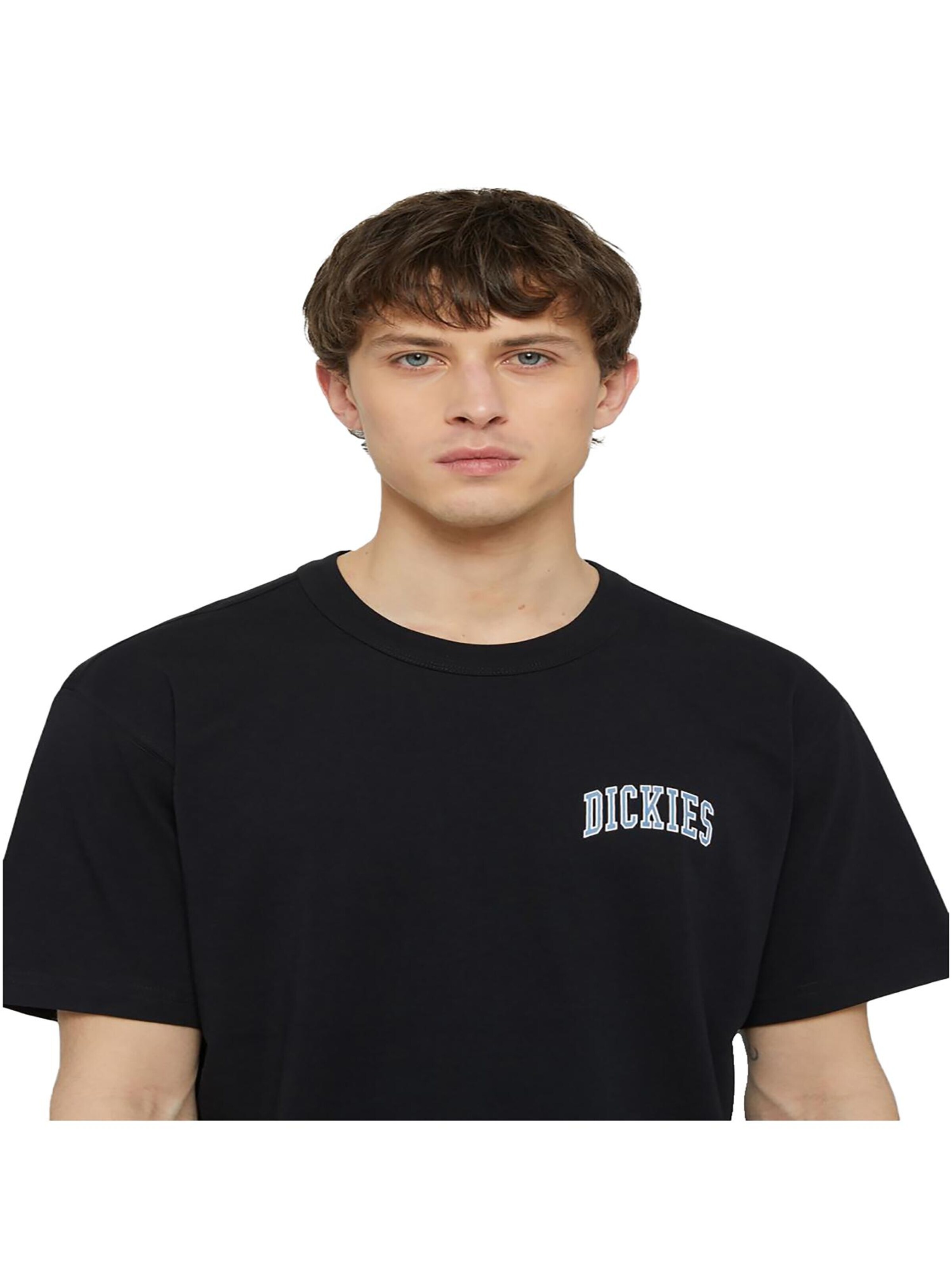 DICKIES Shirt 'Aitkin' in Schwarz