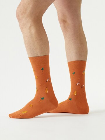 Von Jungfeld Socks 'Herbst ICONS' in Orange: front