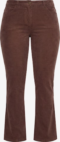 Ulla Popken Slimfit Hose in Braun: Vorderseite
