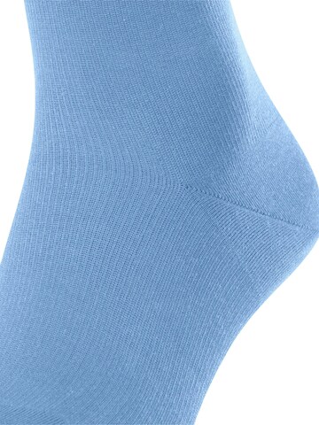 FALKE Kniestrümpfe 'Energizing Cotton'‌‌‌‌‌‌‌‌ in Blau