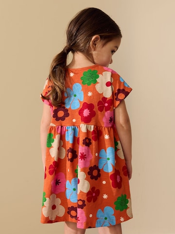 Next Kleid in Orange