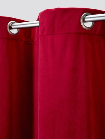 TOM TAILOR Curtains & Drapes in Red