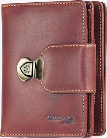 Greenland Nature Wallet in Brown: front