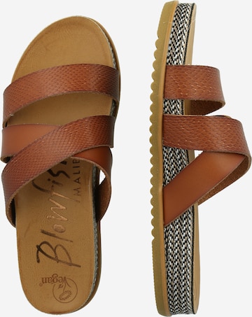 Blowfish Malibu Mules in Brown