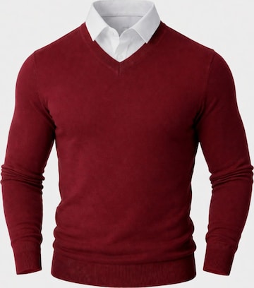 PANTONECLO Trui 'Pantoneclo Men’s Mock Sweater' in Rood: voorkant