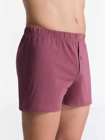 Albero Natur Boxershorts in Gold