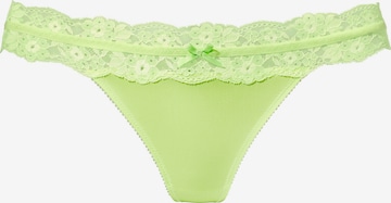 VIVANCE Tangice | zelena barva: sprednja stran