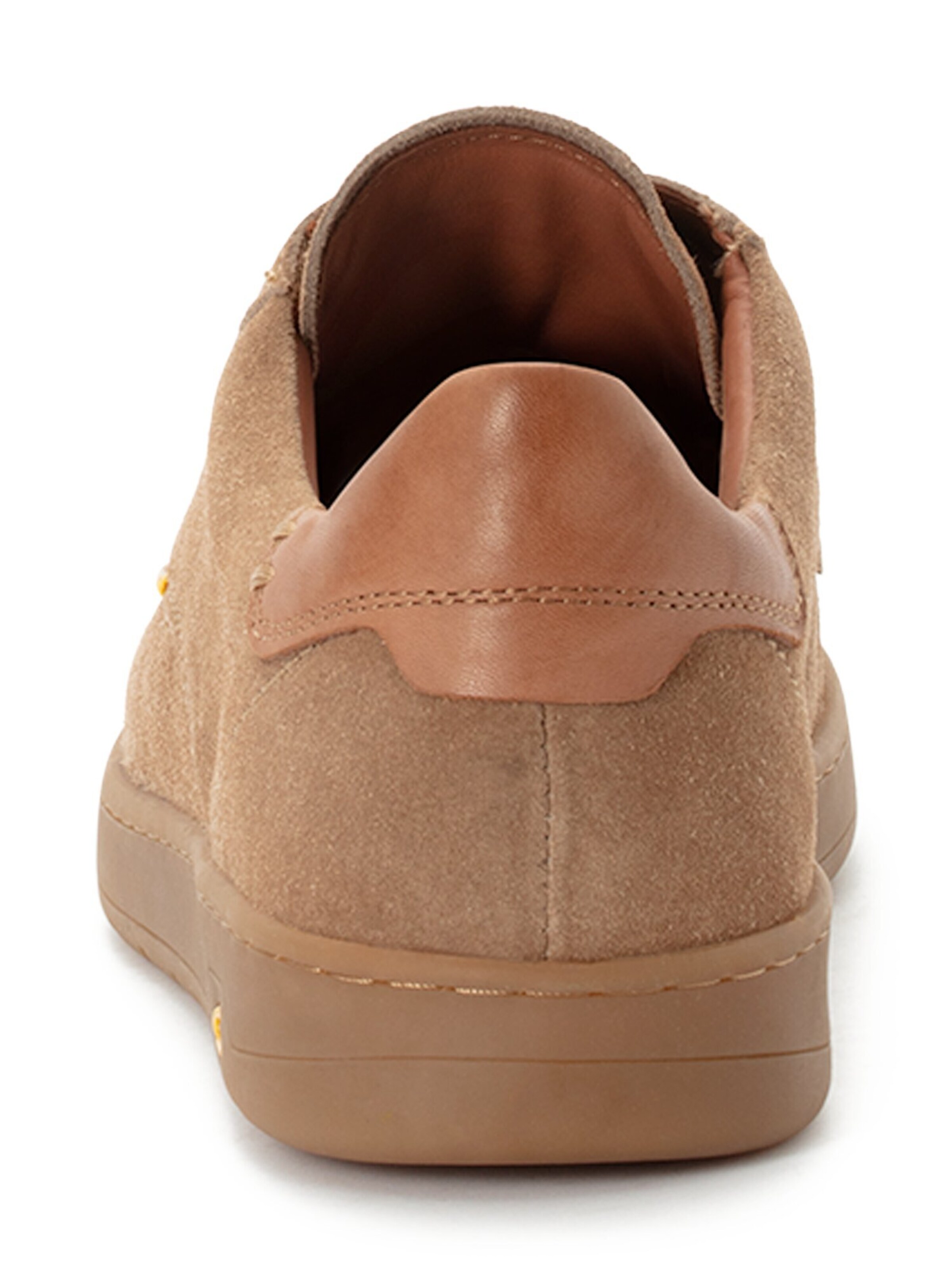 CAMEL ACTIVE Sneakers in Brown