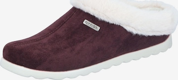 FLY FLOT Slippers in Purple: front