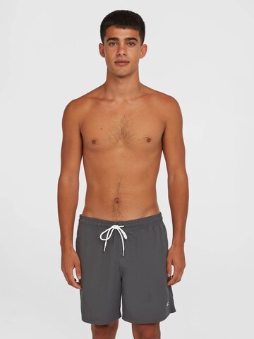 O'NEILL Swimming shorts 'Vert' in Grey: front