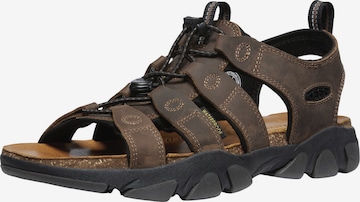 KEEN - Sandália em castanho: frente