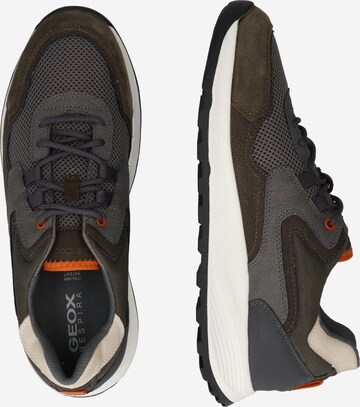 GEOX Sneakers 'Terrestre' in Grey