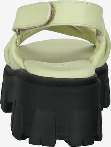 ILC Sandalen met riem in Groen