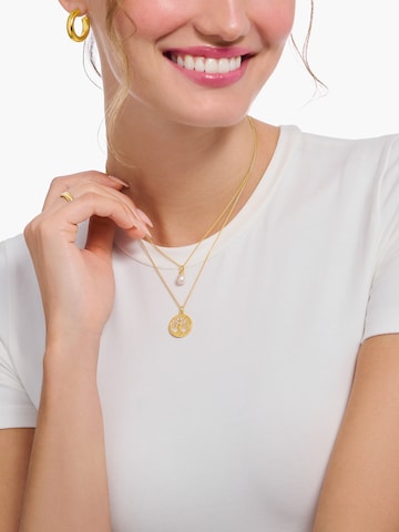 Thomas Sabo Kette in Gold: Vorderseite