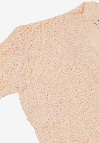 caneva Knit Cardigan in Pink