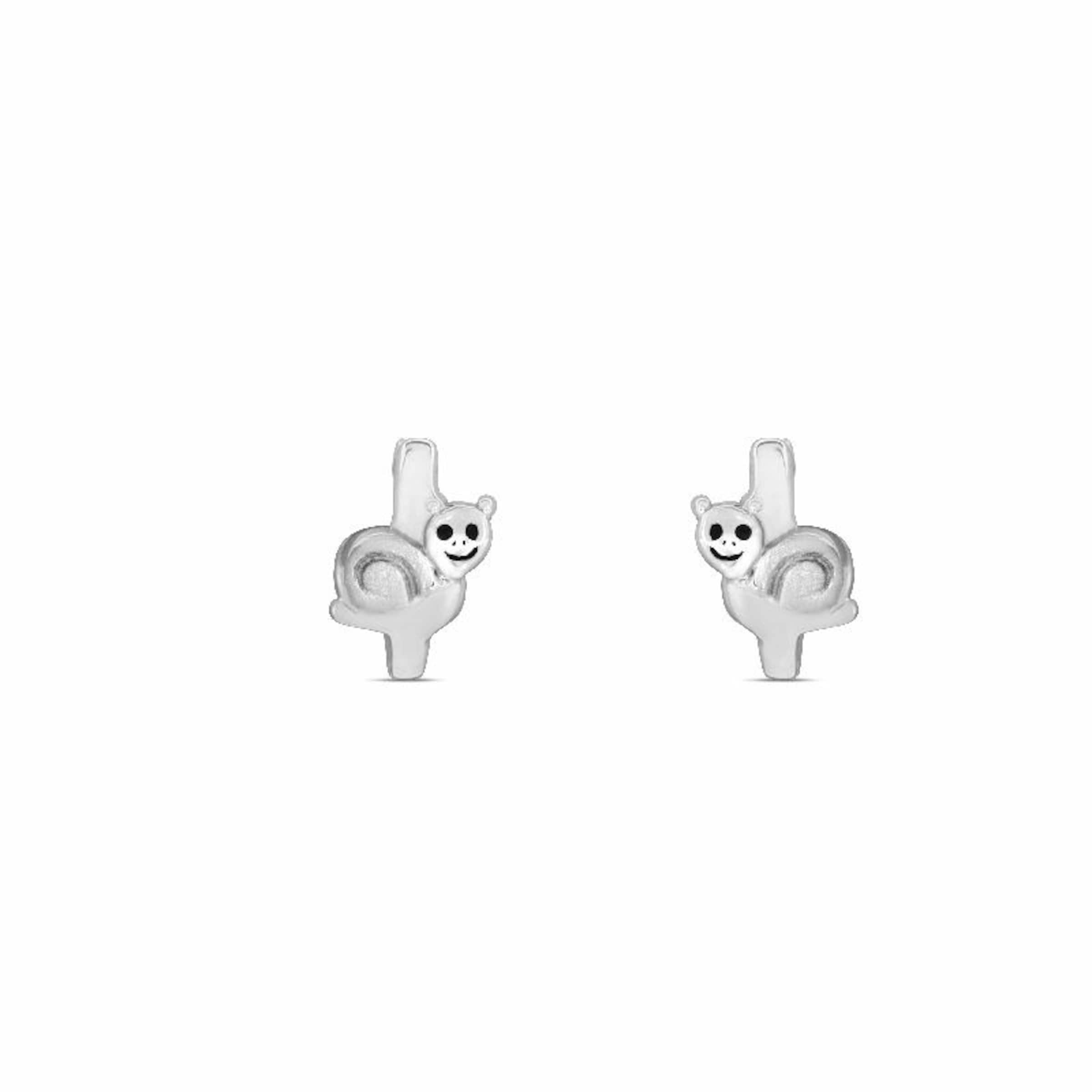 SK Basics Oorbellen in Zilver: voorkant