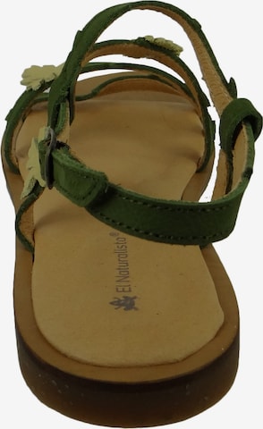 EL NATURALISTA Sandalen in Grün