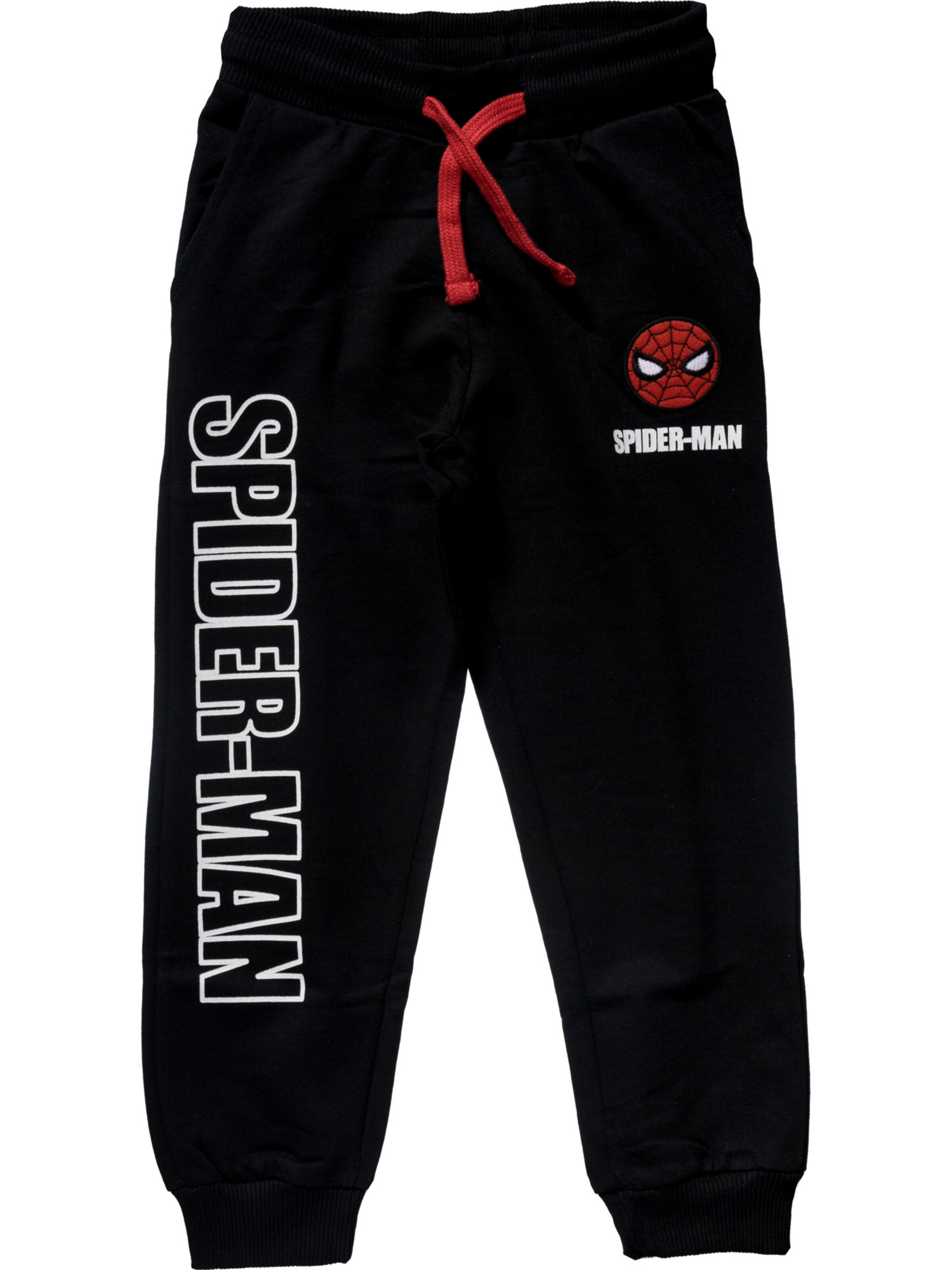 SPIDERMAN Pants in Black: front