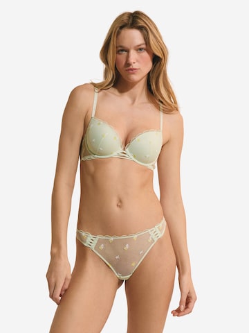 String di ETAM in verde: frontale