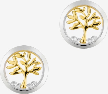Astra Earrings 'TREE OF LIFE' in Gold: front