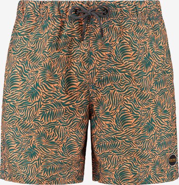 Shiwi Board Shorts in Orange: front