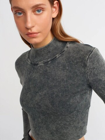 Dilvin Pullover 'Pullover'‌‌‌‌‌‌‌ in Grau