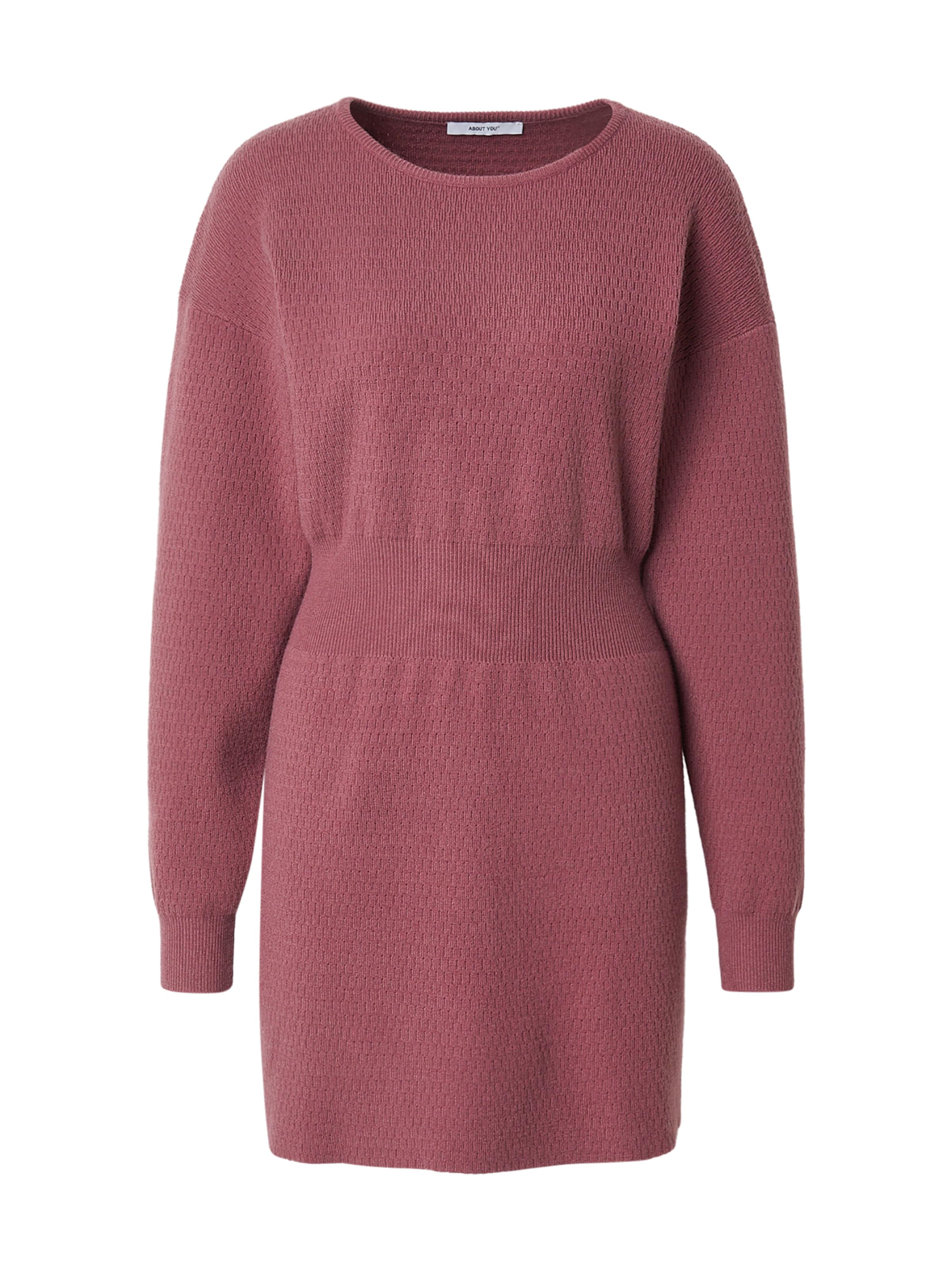 ABOUT YOU Pletené šaty 'Annelie' - Ružová: predná strana