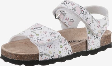 Kidsworld Sandals in White: front