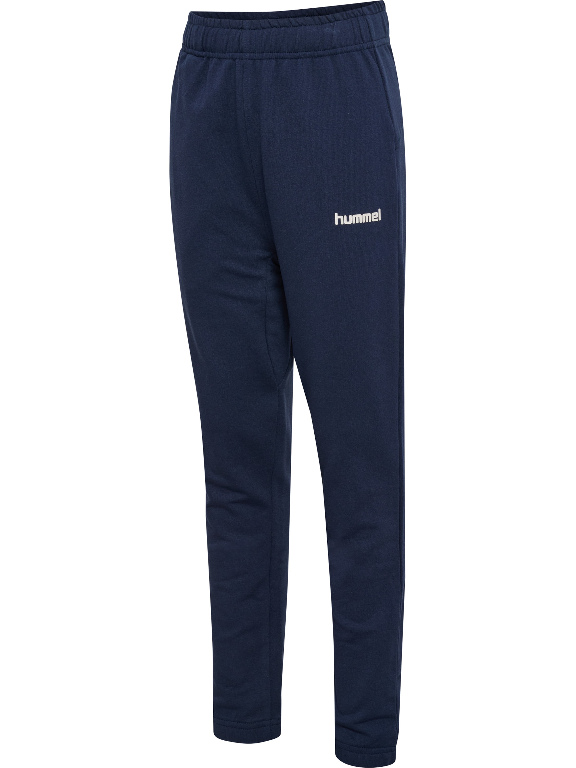 Hummel Regular Sports trousers in Blue