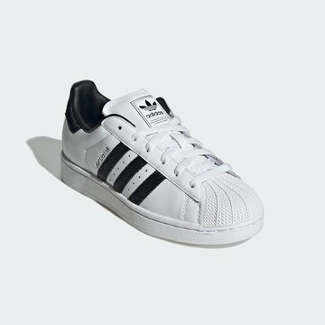 ADIDAS ORIGINALS Ниски маратонки 'Superstar II' в бяло