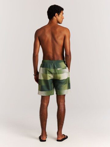 PROTEST Badeshorts 'PRTLomond'‌‌‌ in Grün