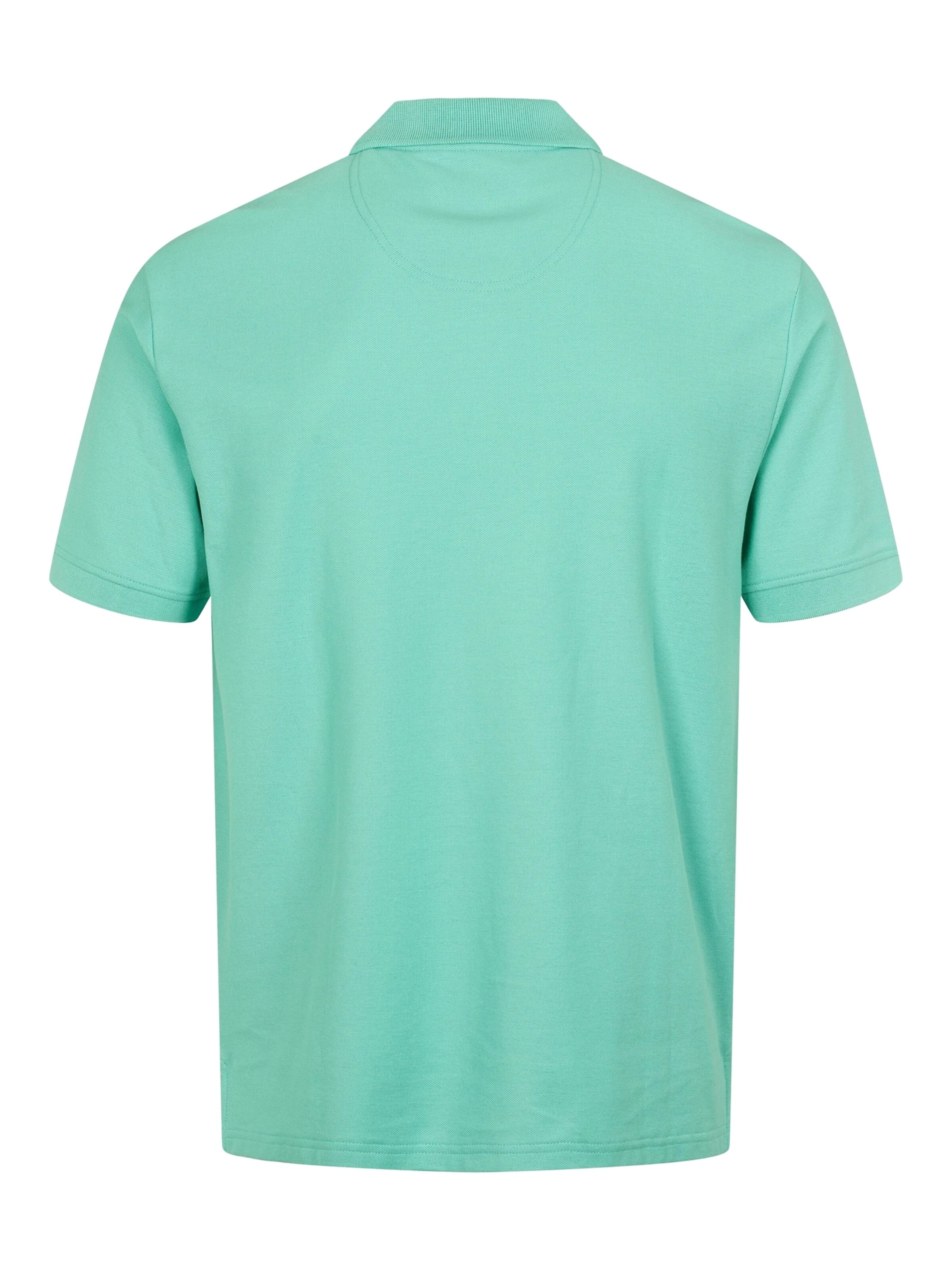 U.S. POLO ASSN. Regular Fit Poloshirt 'Alfred' in Blau