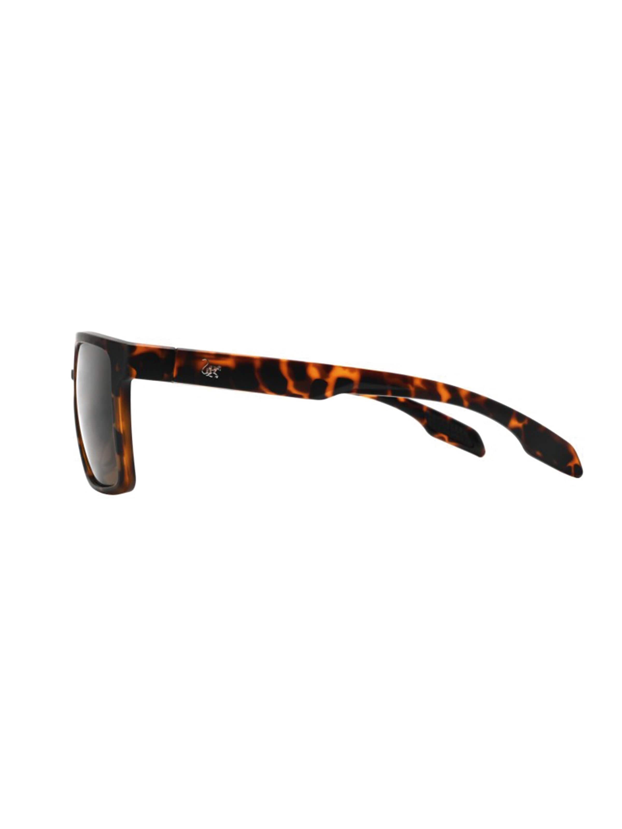 Occhiali da sole di Surf Monkey in marrone