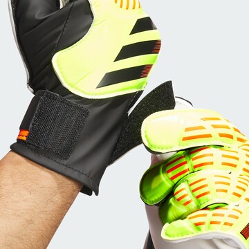 Gants de sport 'Predator' ADIDAS PERFORMANCE en mélange de couleurs