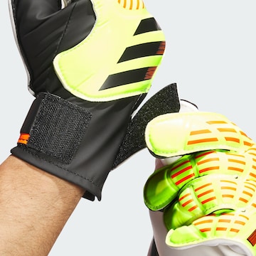 ADIDAS PERFORMANCE Athletic Gloves 'Predator' in Mixed colors