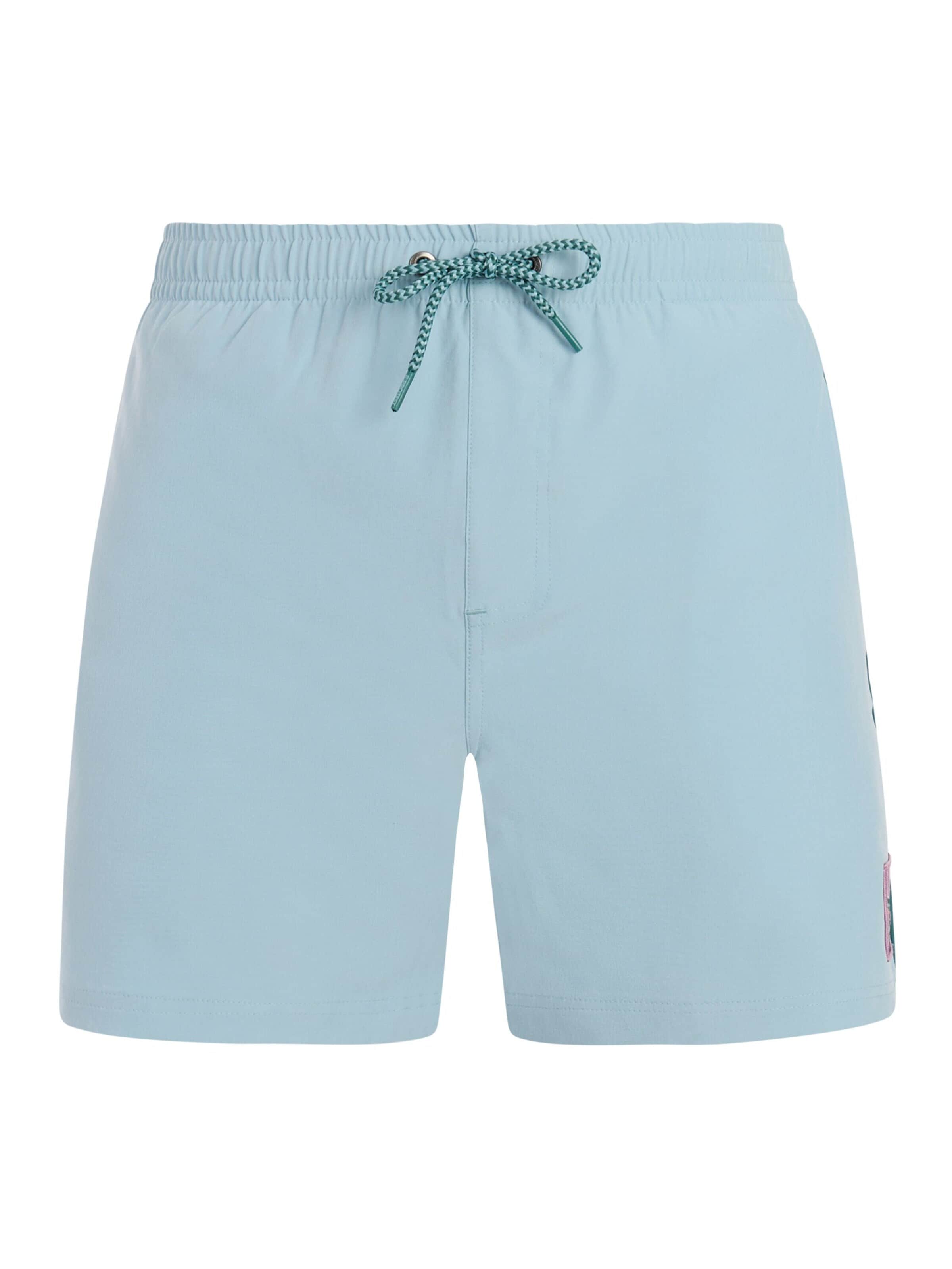 PROTEST Board Shorts 'PRTJayden' in L/Regular in Blue, Item view