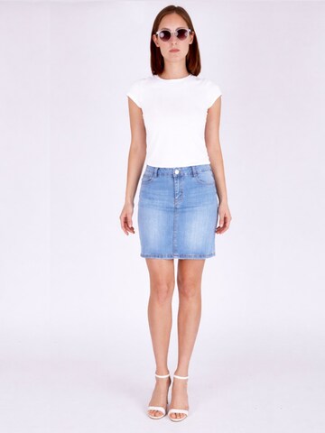 Fraternel Skirt in Blue