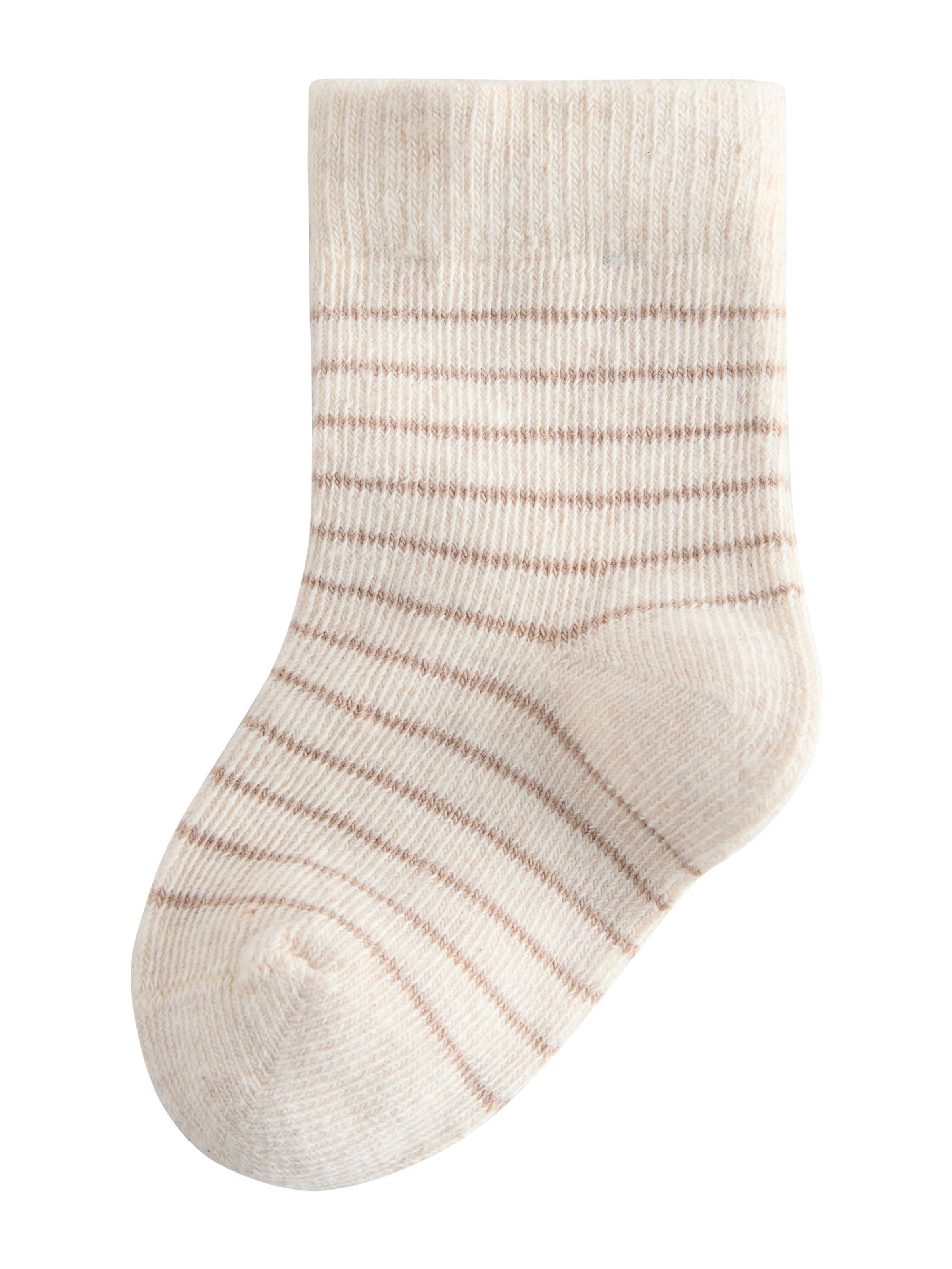 Next Socks in Mixed colours