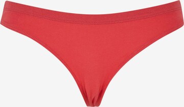 Dangerous DNGRS Bustier Sweatshirt 'Trust' in Roze: voorkant