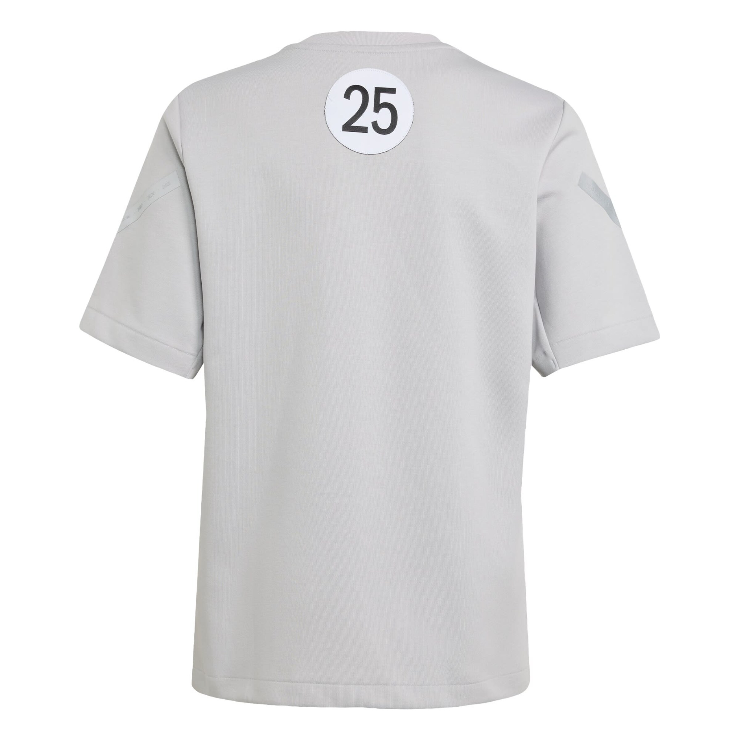 T-Shirt fonctionnel 'Mercedes - AMG Petronas Formula One Team' ADIDAS PERFORMANCE en gris