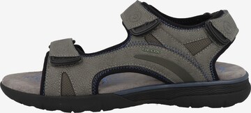 GEOX Hiking Sandals 'Spherica ' in Green