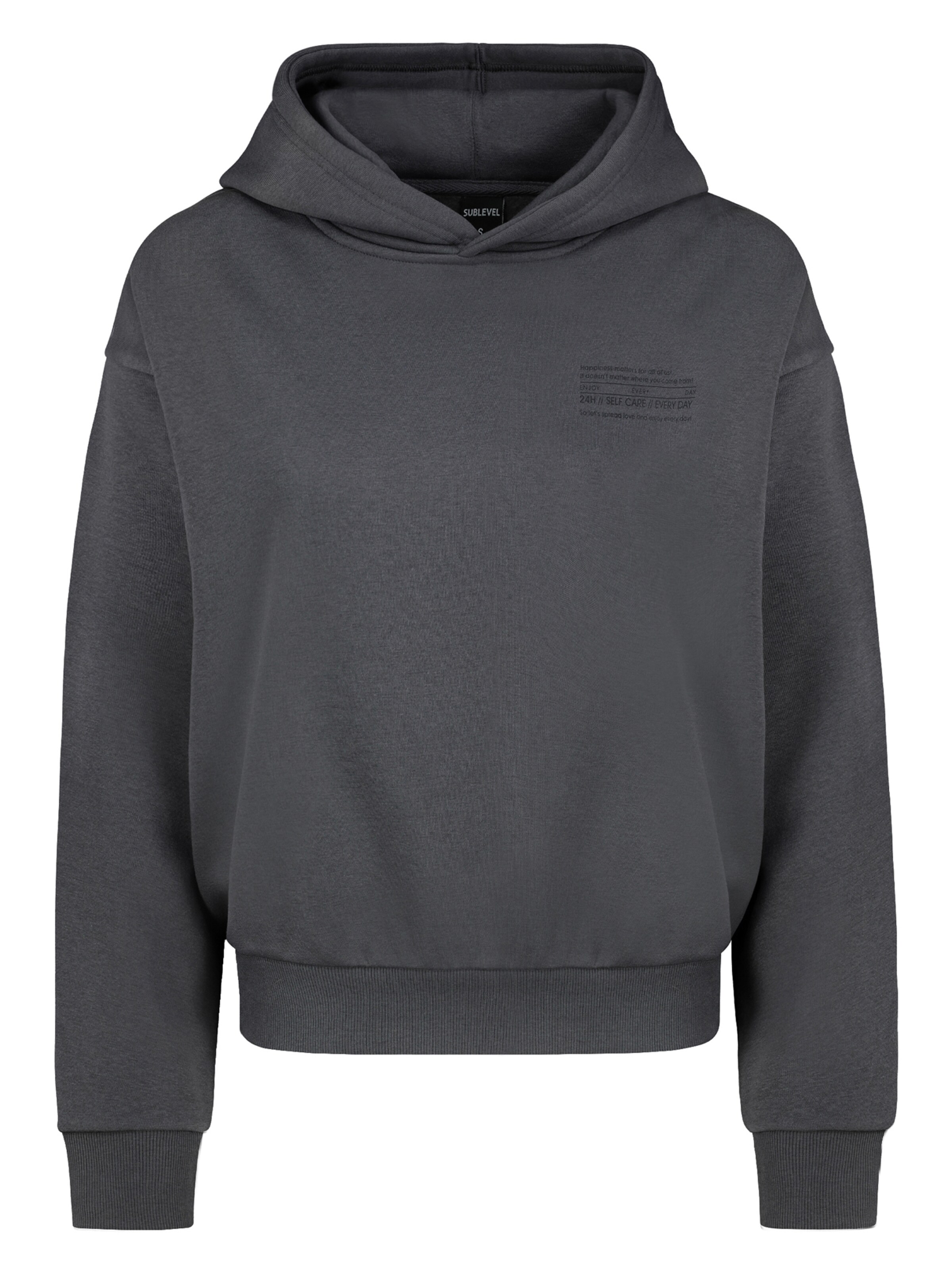 Sublevel Sweatshirt in Grey: front