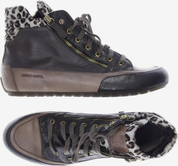 Candice Cooper Sneakers & Trainers in 42 in Brown: front
