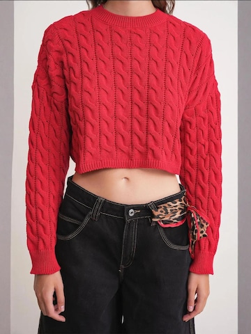 Pullover 'Pullover' di MixRay in rosso