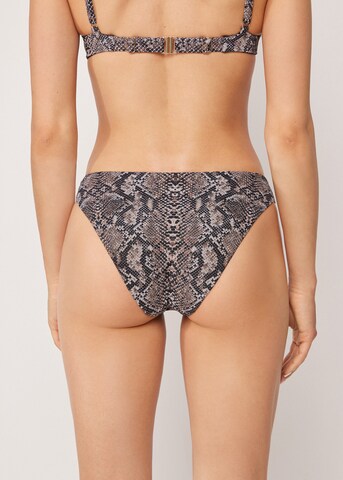 CALZEDONIA Bikini Bottoms 'Classic Snake' in Black