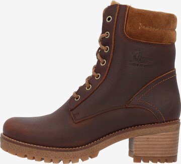 PANAMA JACK Ankle Boots 'Phoebe' in Brown