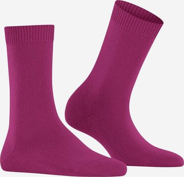 FALKE Socken in Lila