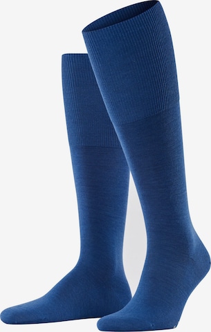 FALKE Knee socks 'Airport' in Blue: front